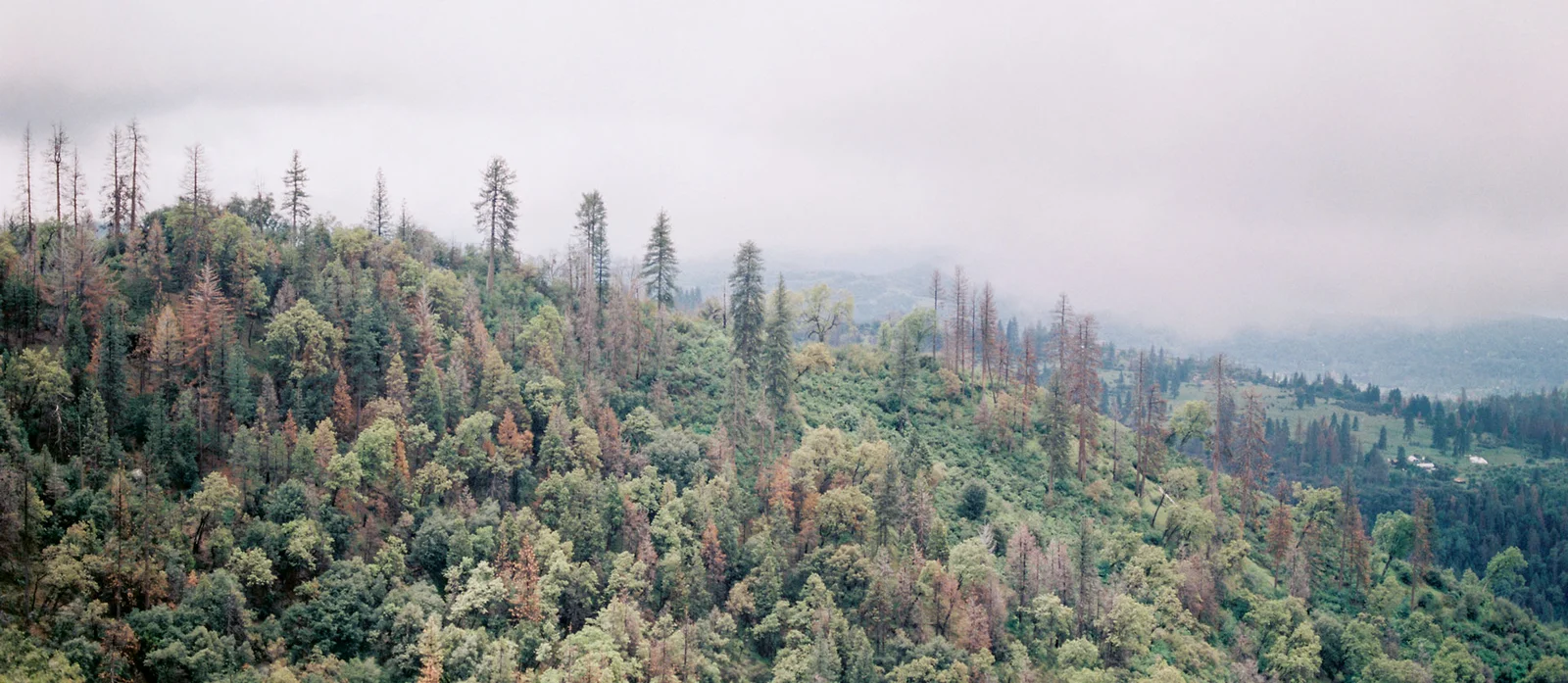 Environment Image